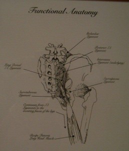 Artistic Drawing from office of Vicki Sims, PT