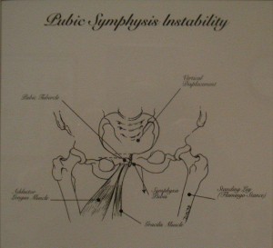 Artistic drawing from Vicki Sims, PT Office