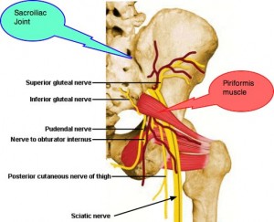 Nerves that pass near piriformis muscle
