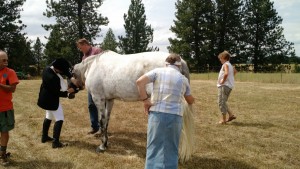 Dr. Harper and Friends helping in final moments before euthanasia