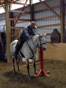 Dr. Hans Asmussen riding Jewels in Working Equitation Clinic May 2014